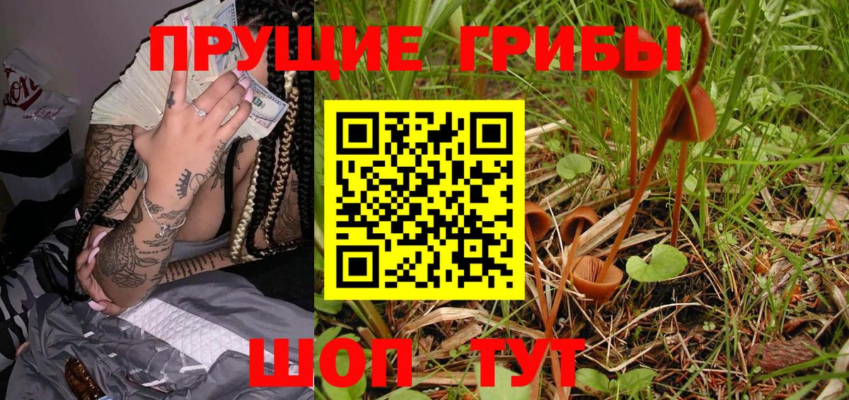 Кимры  Псилоцибиновые грибы Cubensis  Вход с VPN  Галлюциногенные грибы GOLDEN TEACHER 